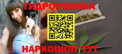 прущие крисы Кулебаки