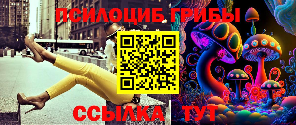 Псилоцибиновые грибы Psilocybine cubensis Электрогорск