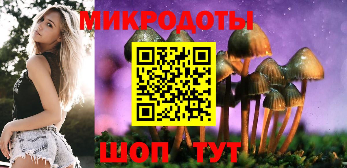 Псилоцибиновые грибы Psilocybine cubensis  Вход с VPN  Электрогорск  Псилоцибиновые грибы Magic Shrooms 